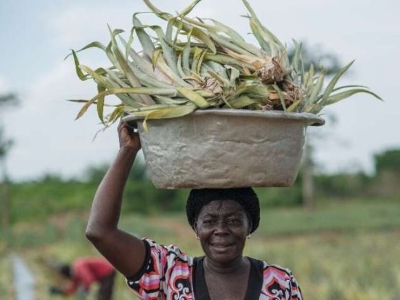 El arma secreta de la agricultura: empoderar a las mujeres