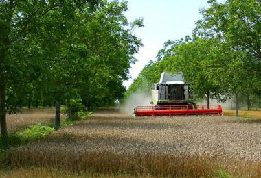 Qué es la agroecología y su importancia