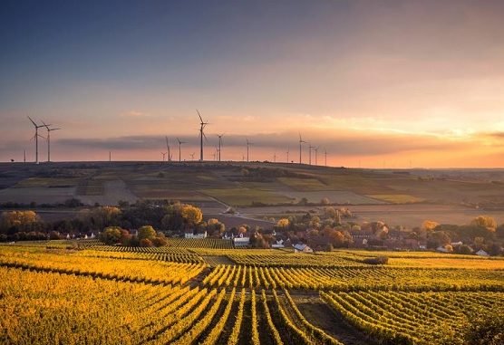 Reiteran grave amenaza a ecosistemas por cambio climático