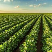 Insumos de calidad para la protección y producción de todo tipo de cultivos.