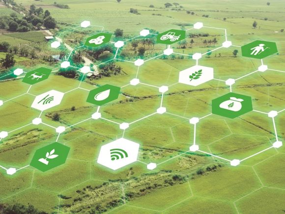 Revolución agrícola para poder alimentar al mundo