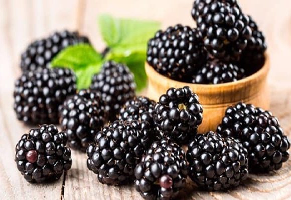 México, principal productor de zarzamora en el mundo: