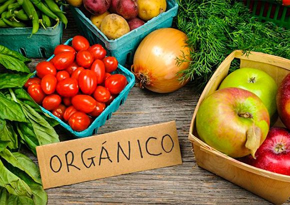 ¿Cómo puedo certificar mis productos orgánicos?