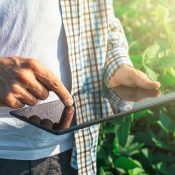 El campo mexicano es una realidad de dos polos.