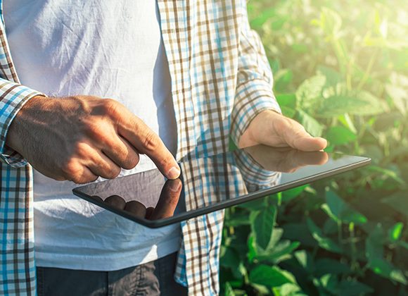 La realidad del campo mexicano