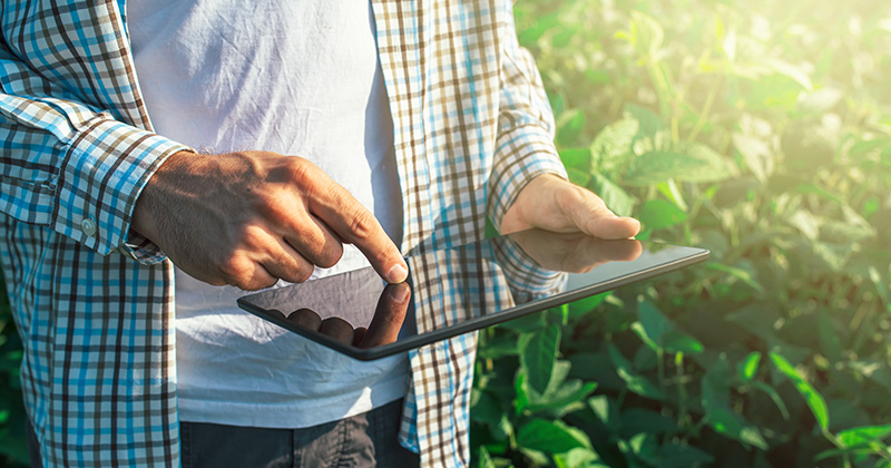 El campo mexicano es una realidad de dos polos.