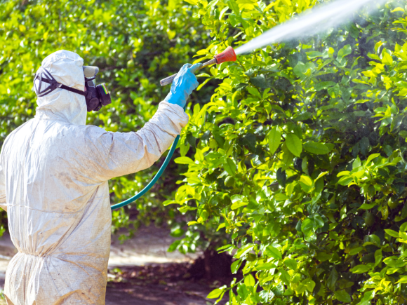 Insecticidas orgánicos y biorracionales, una clave sostenible para el control de plagas agrícolas.